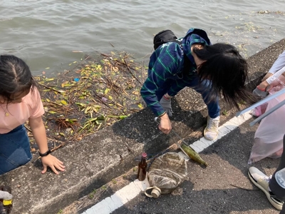 圖片